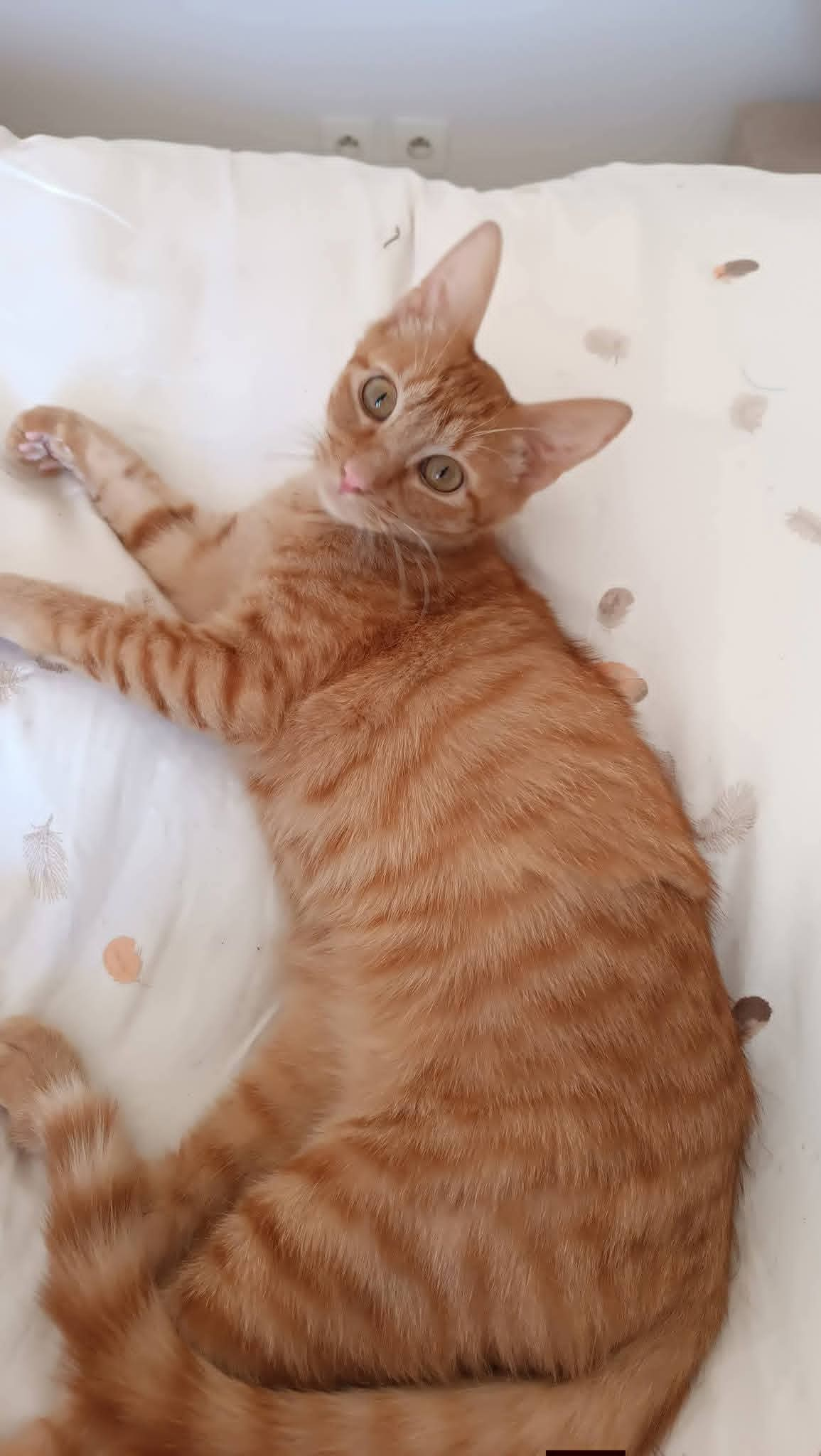 Oliver