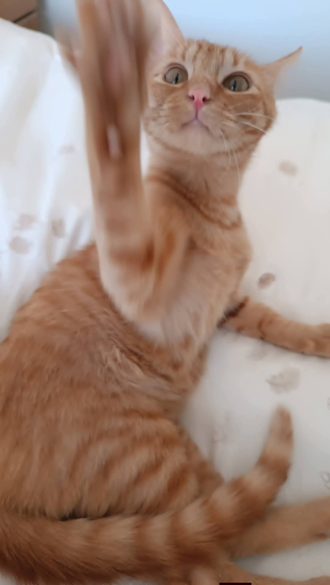 Oliver