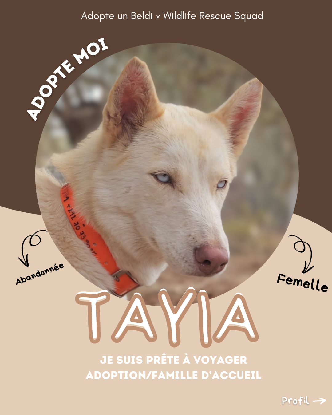TAYIA