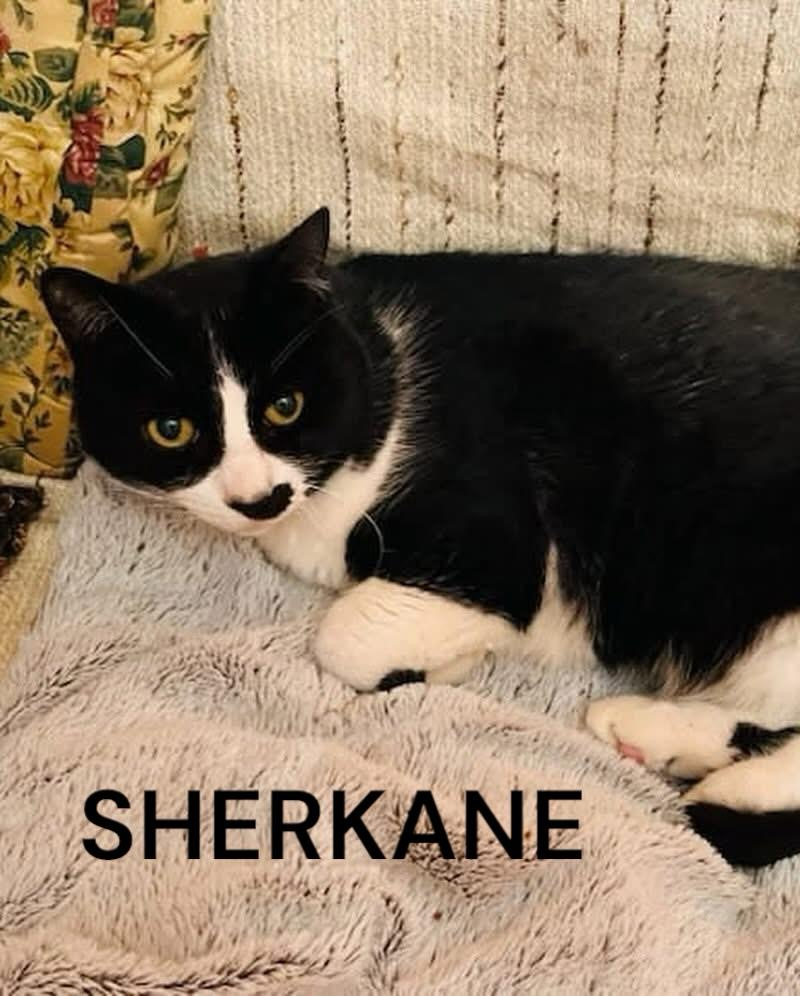 SHERKANE