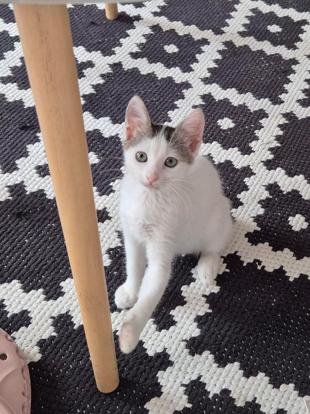 Blini