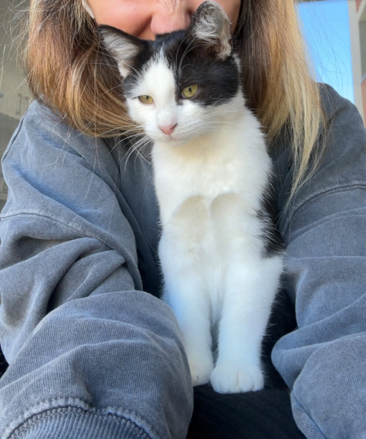 Pita