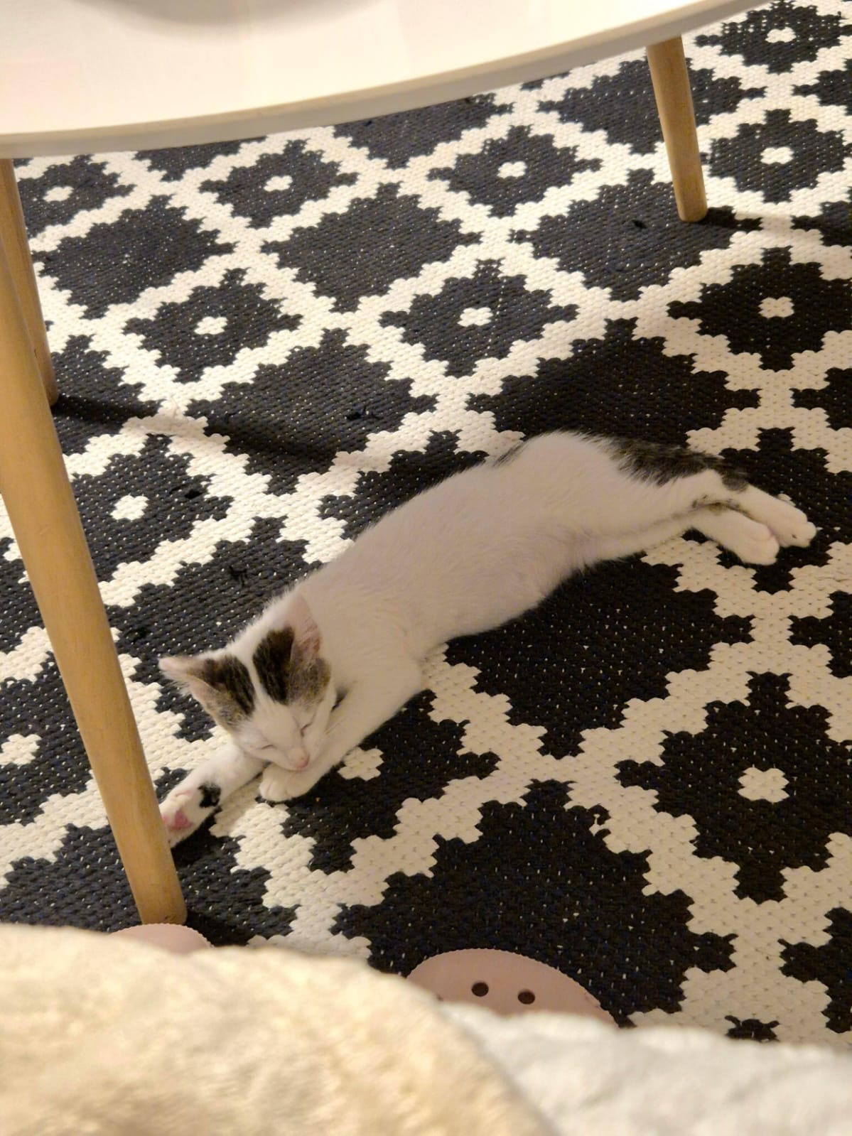 Blini