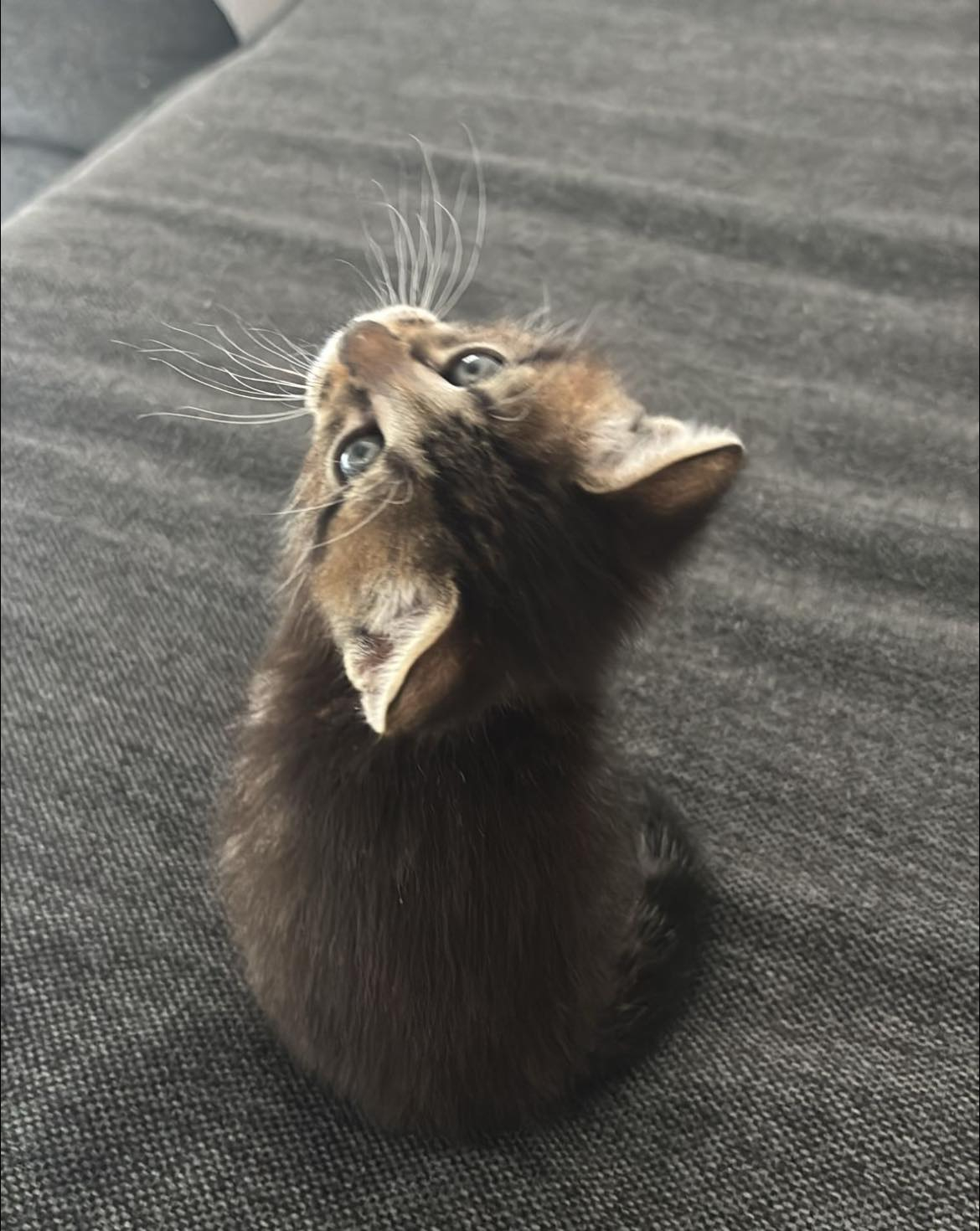 Bob
