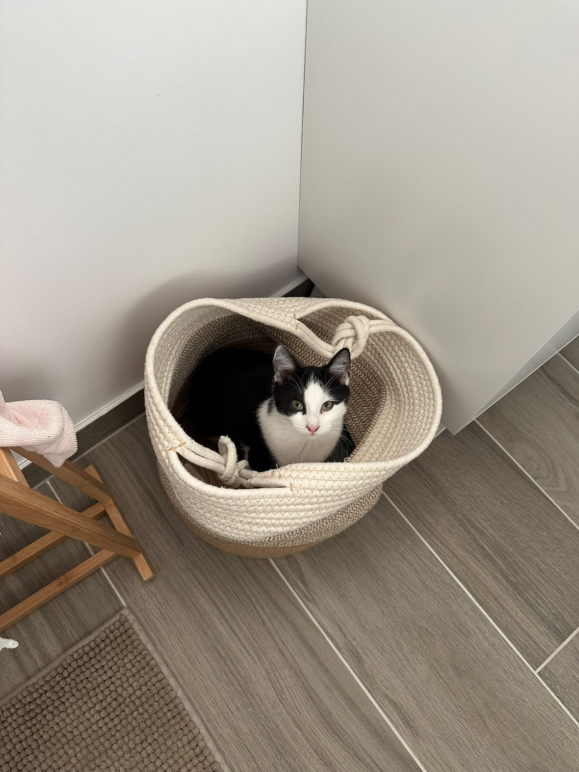 Pita