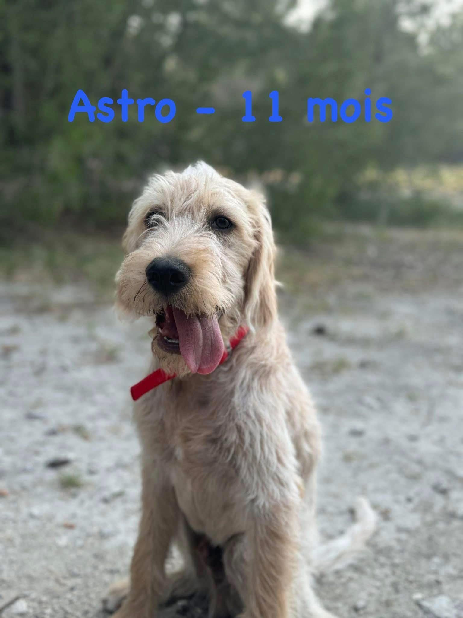 Astro