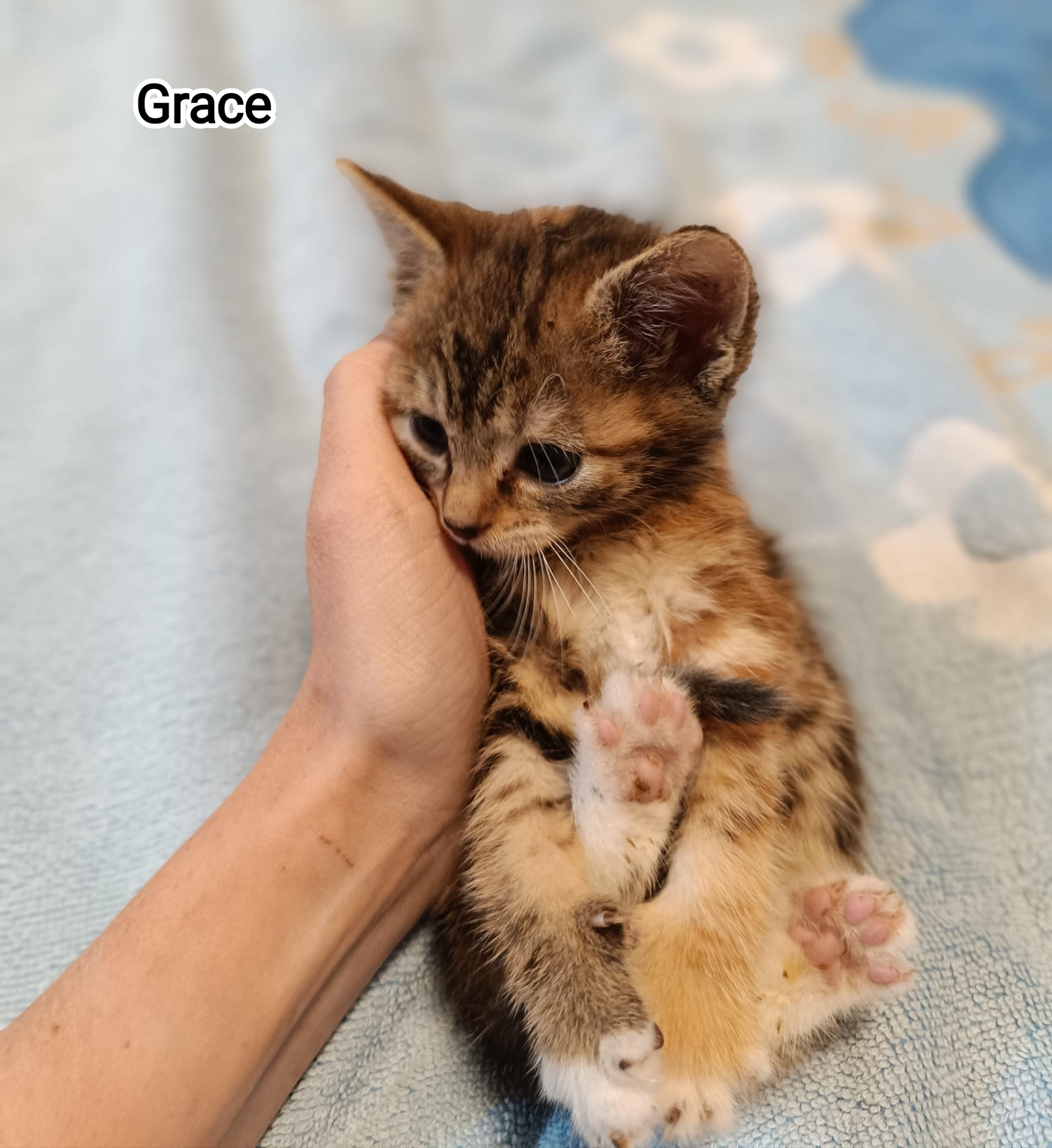 GRACE