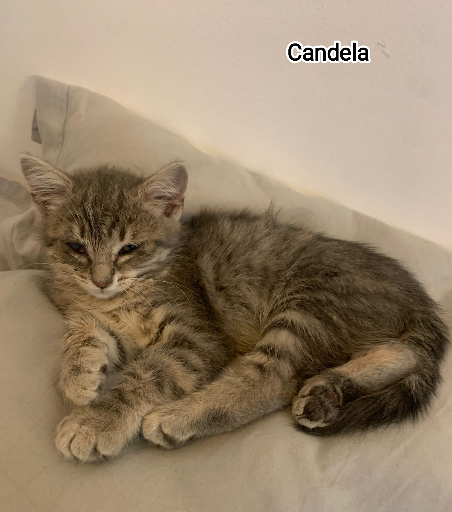 CANDELA