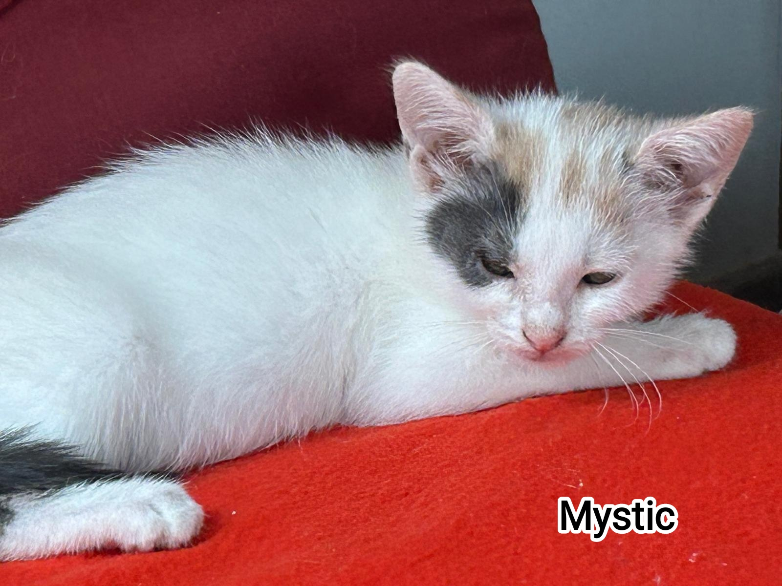 MYSTIC