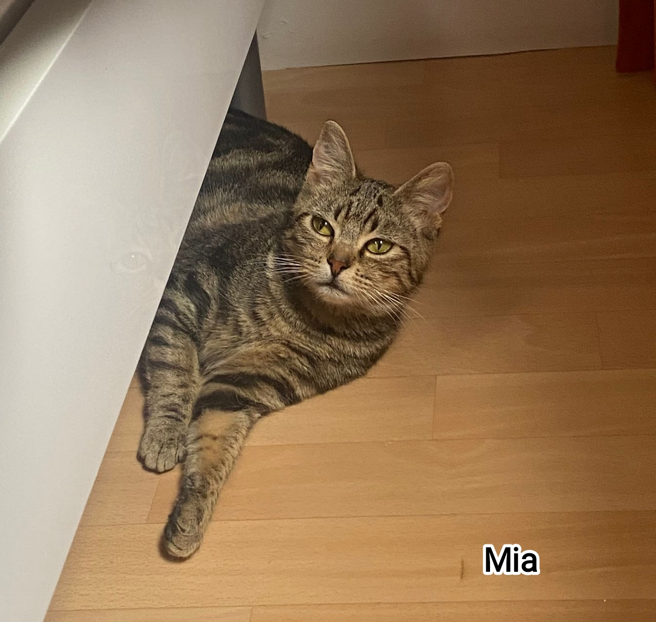 MIA