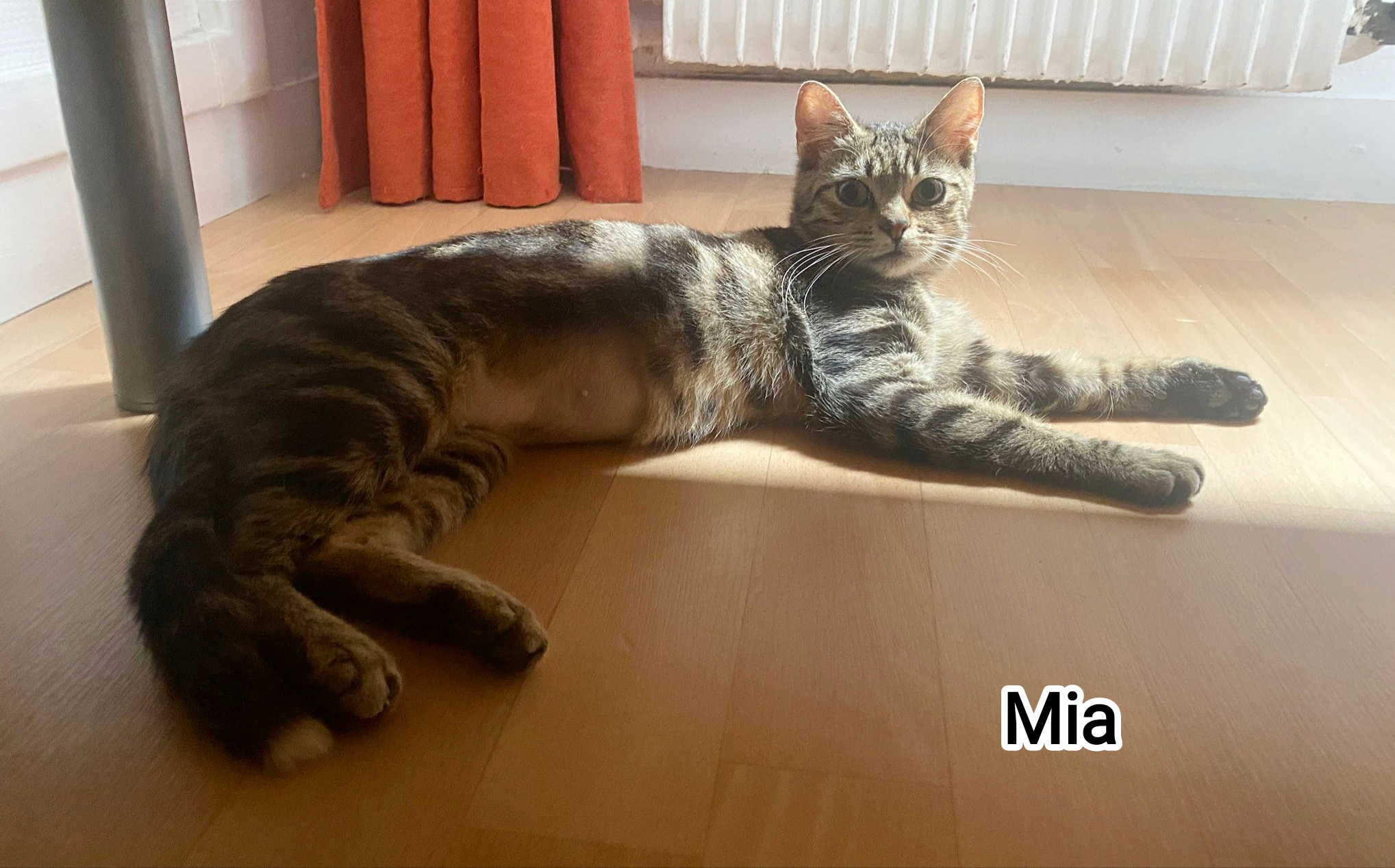 MIA