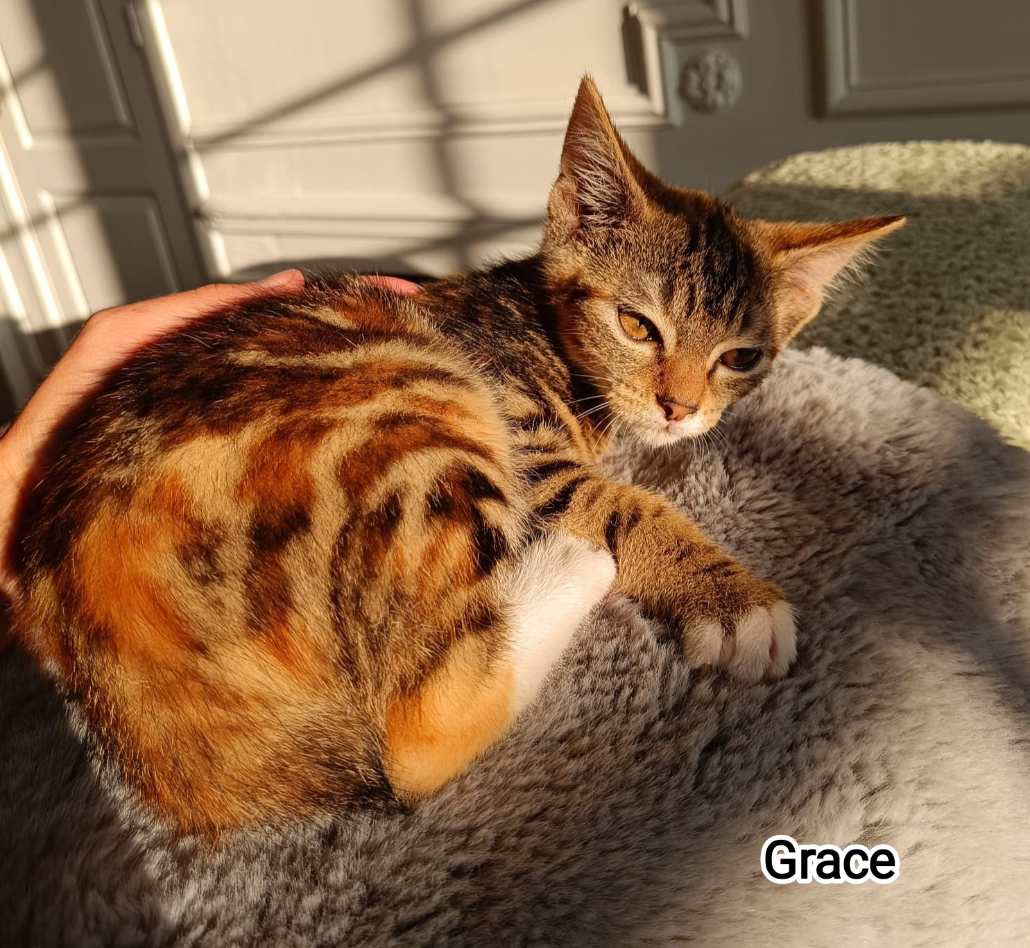 GRACE