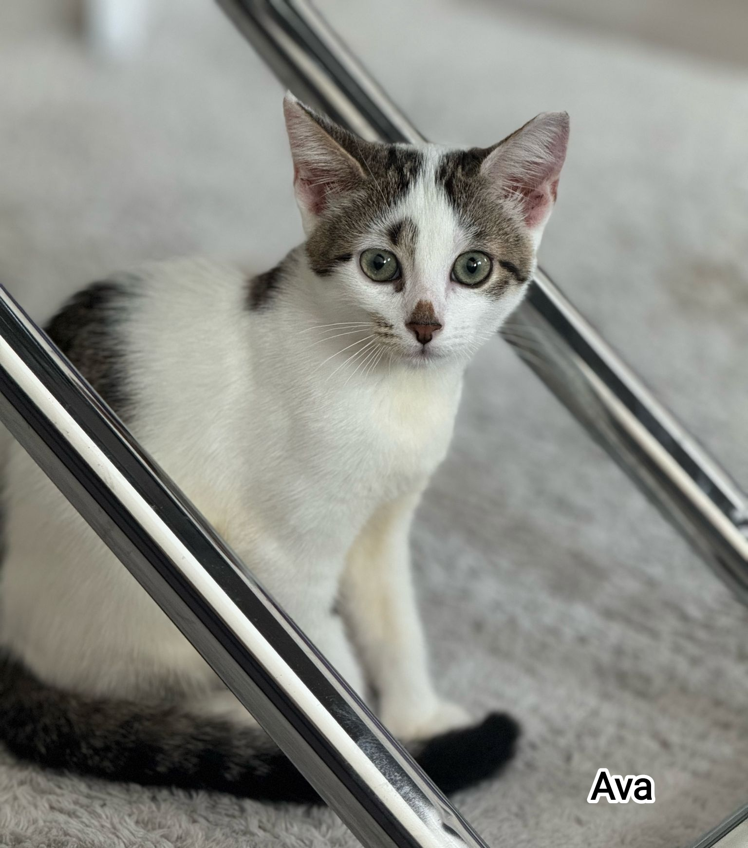 AVA