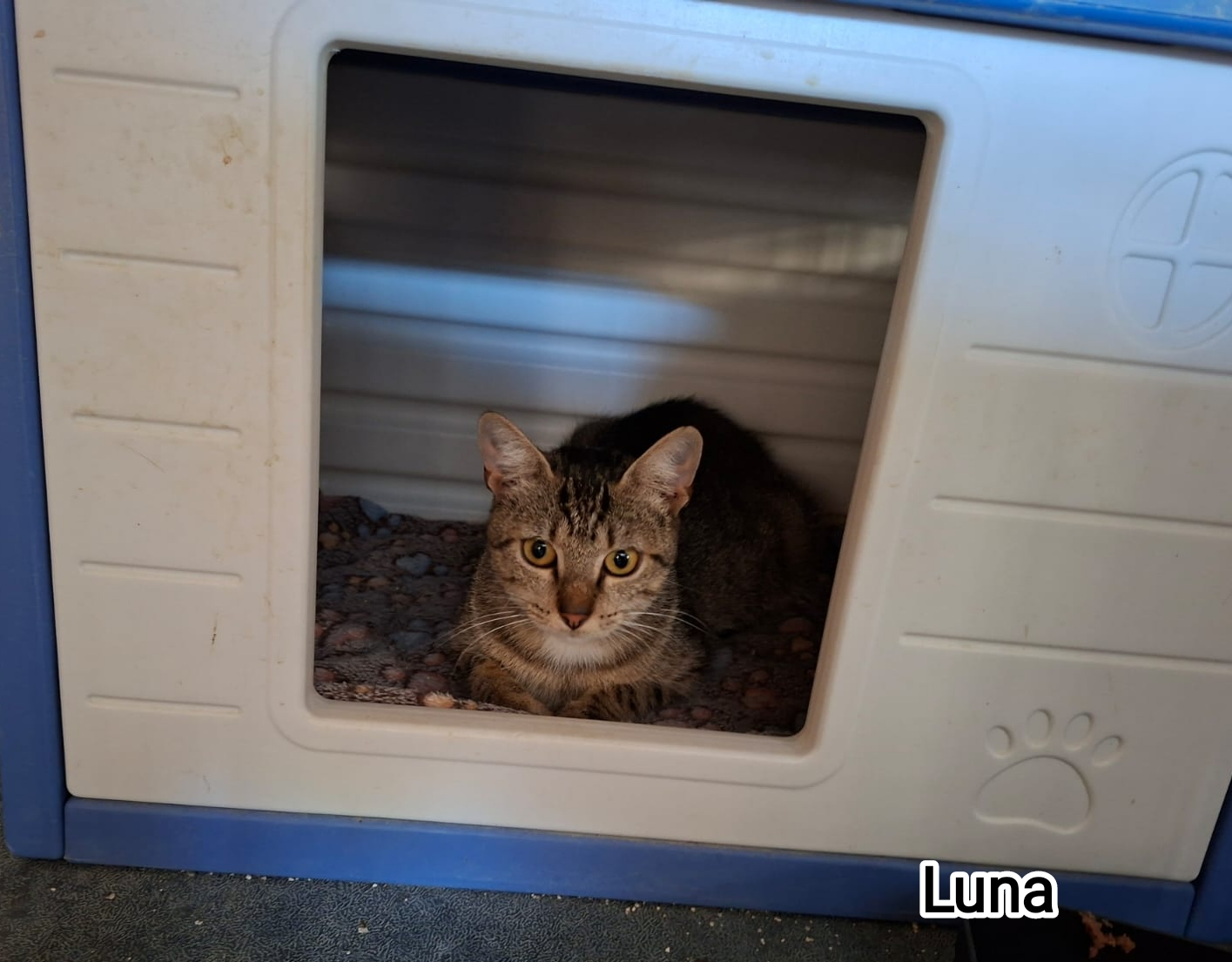 LUNA