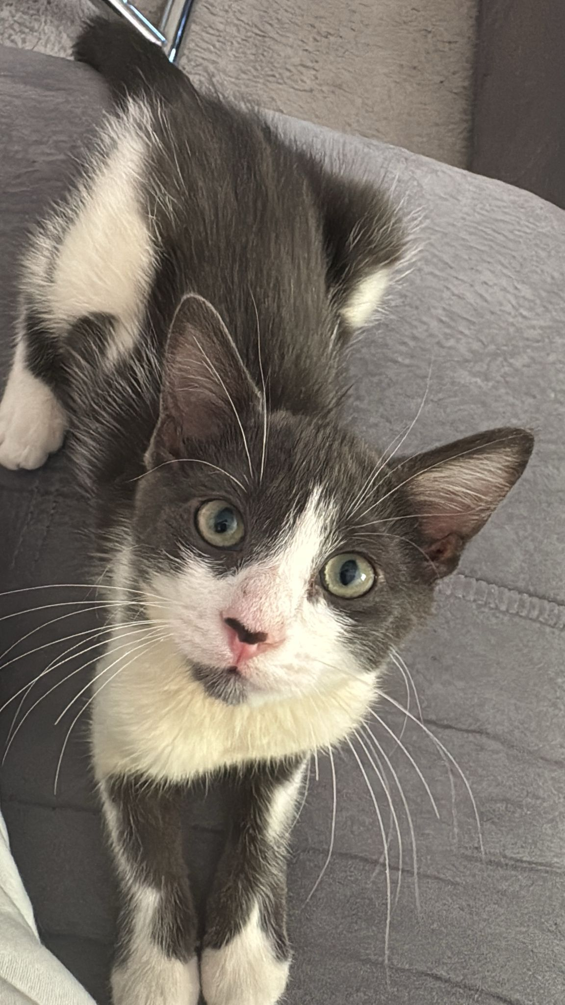 YUKI