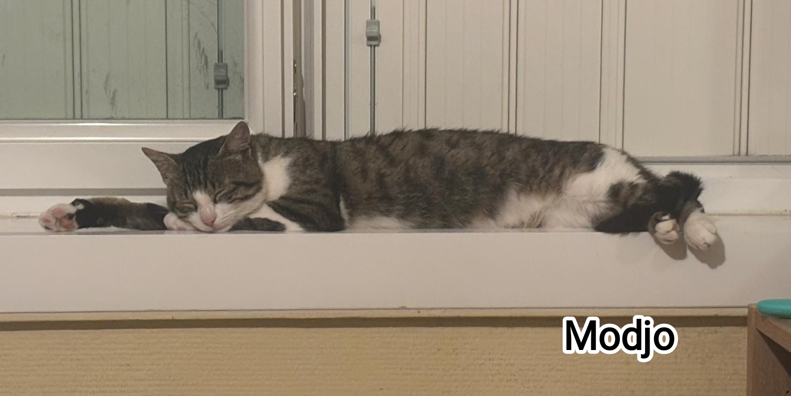 MODJO