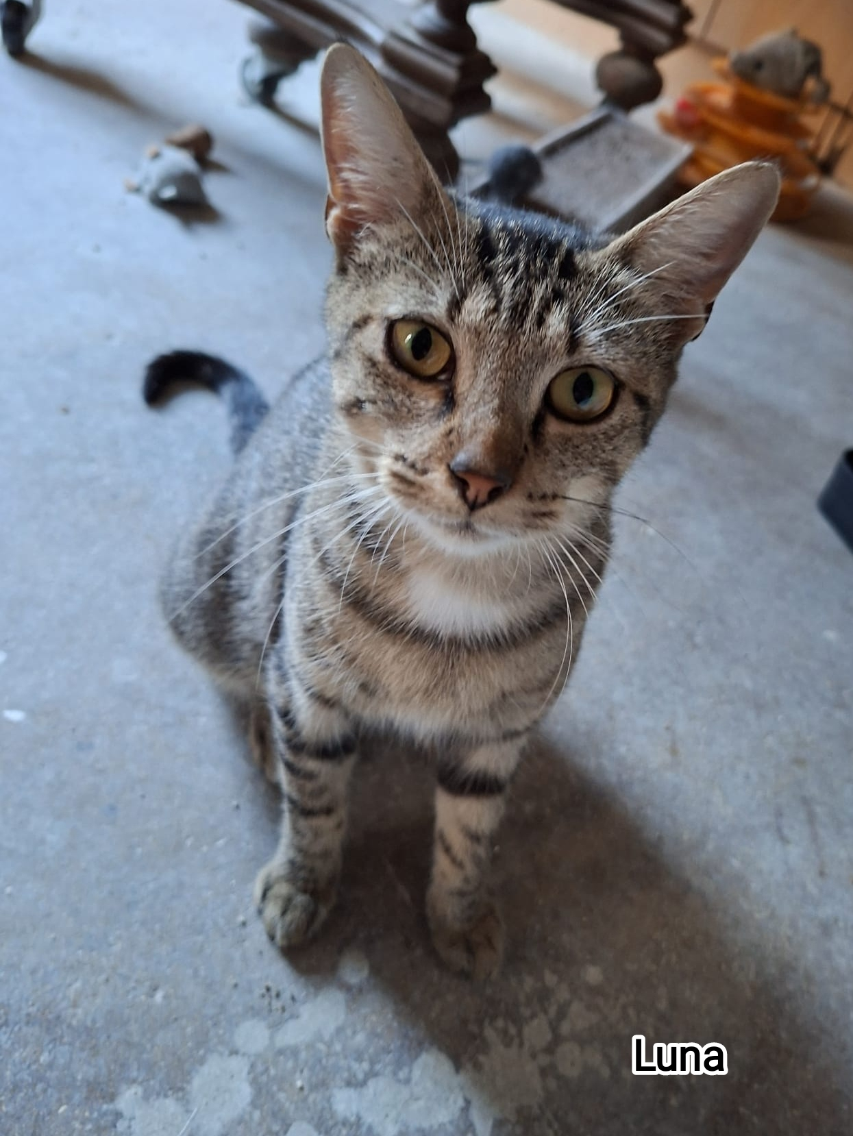 LUNA