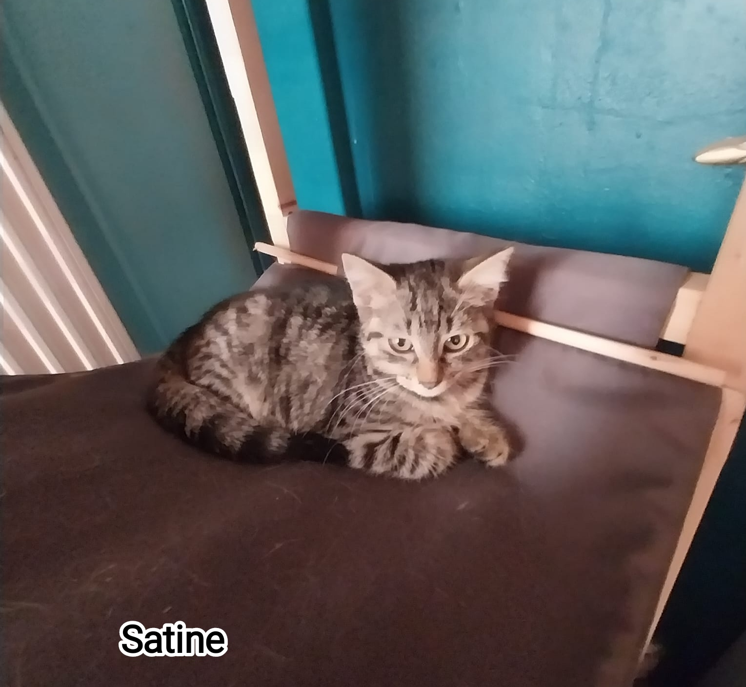 SATINE