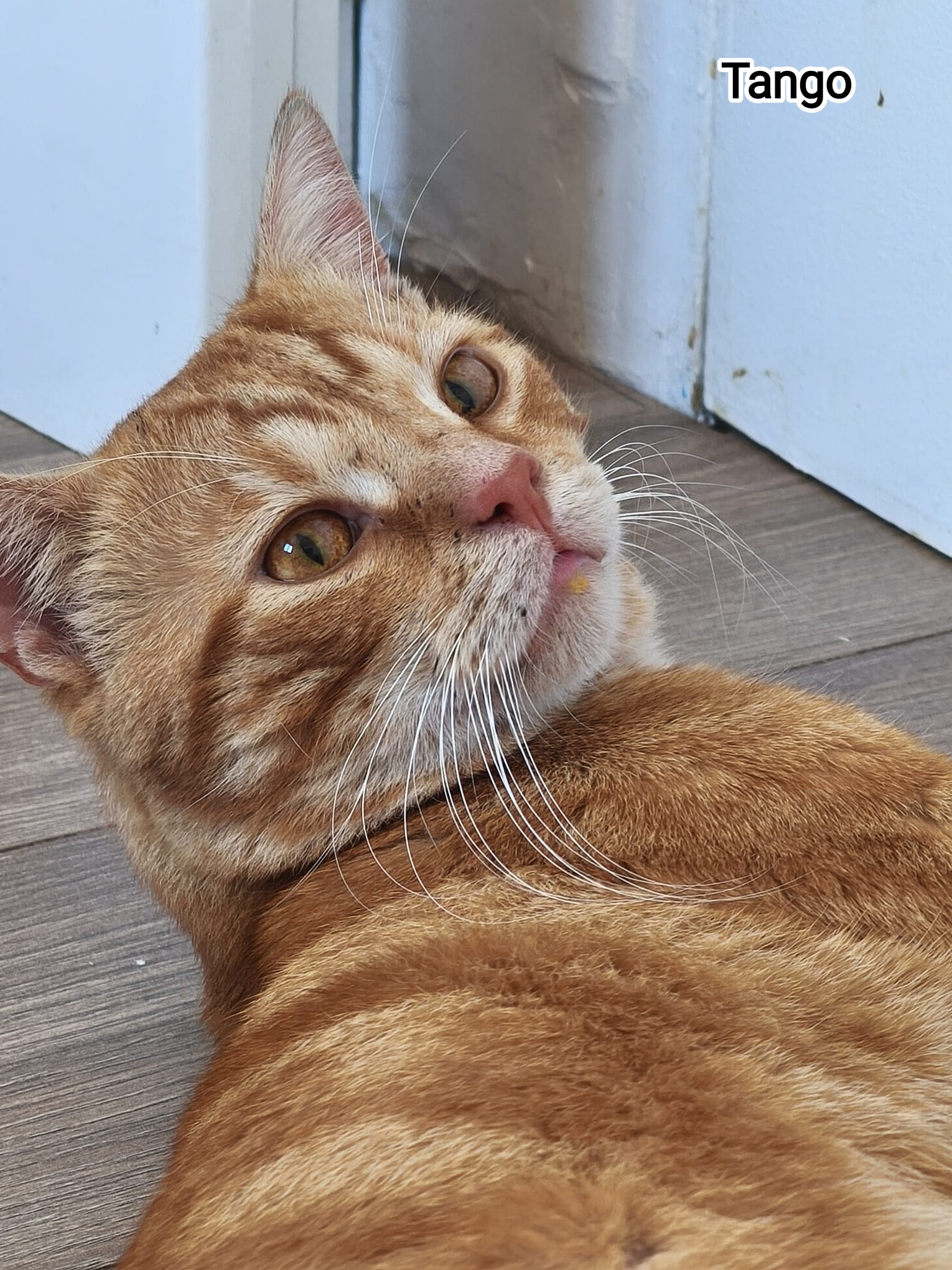 TANGO
