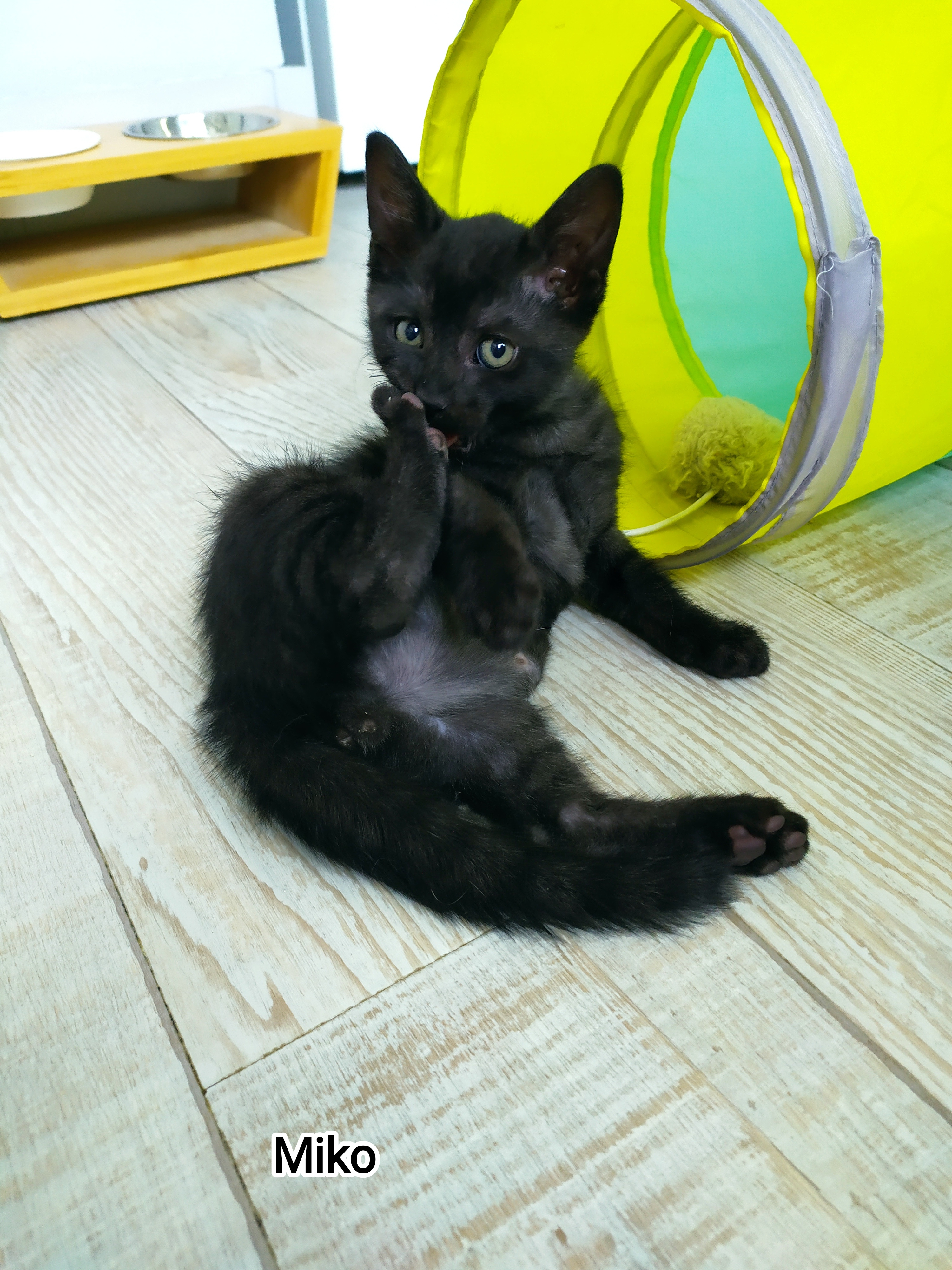MIKO