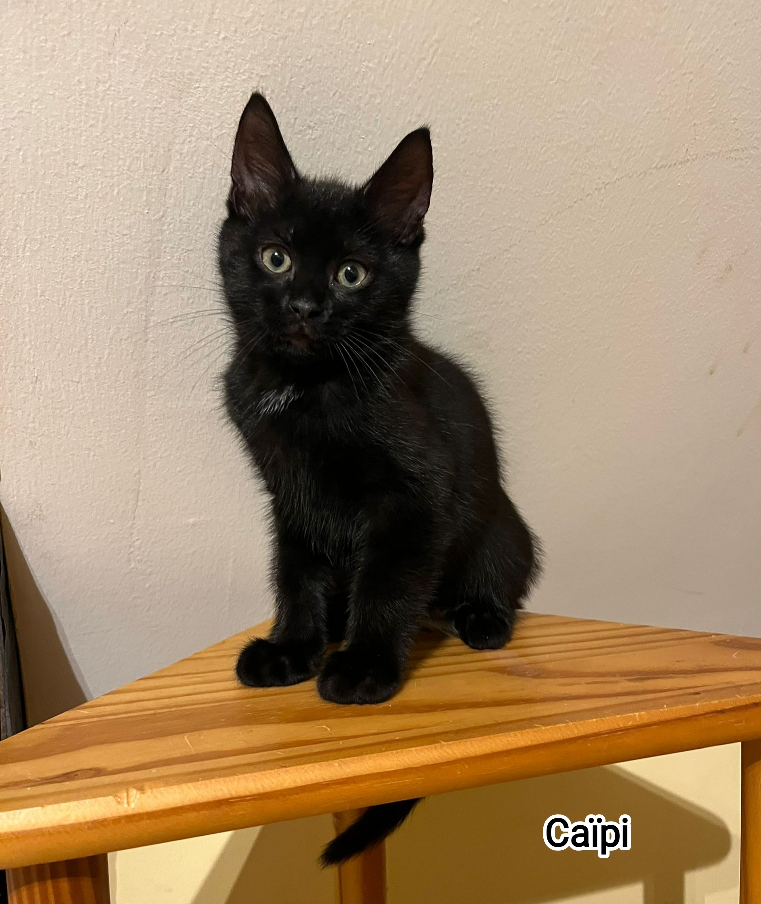 CAIPI