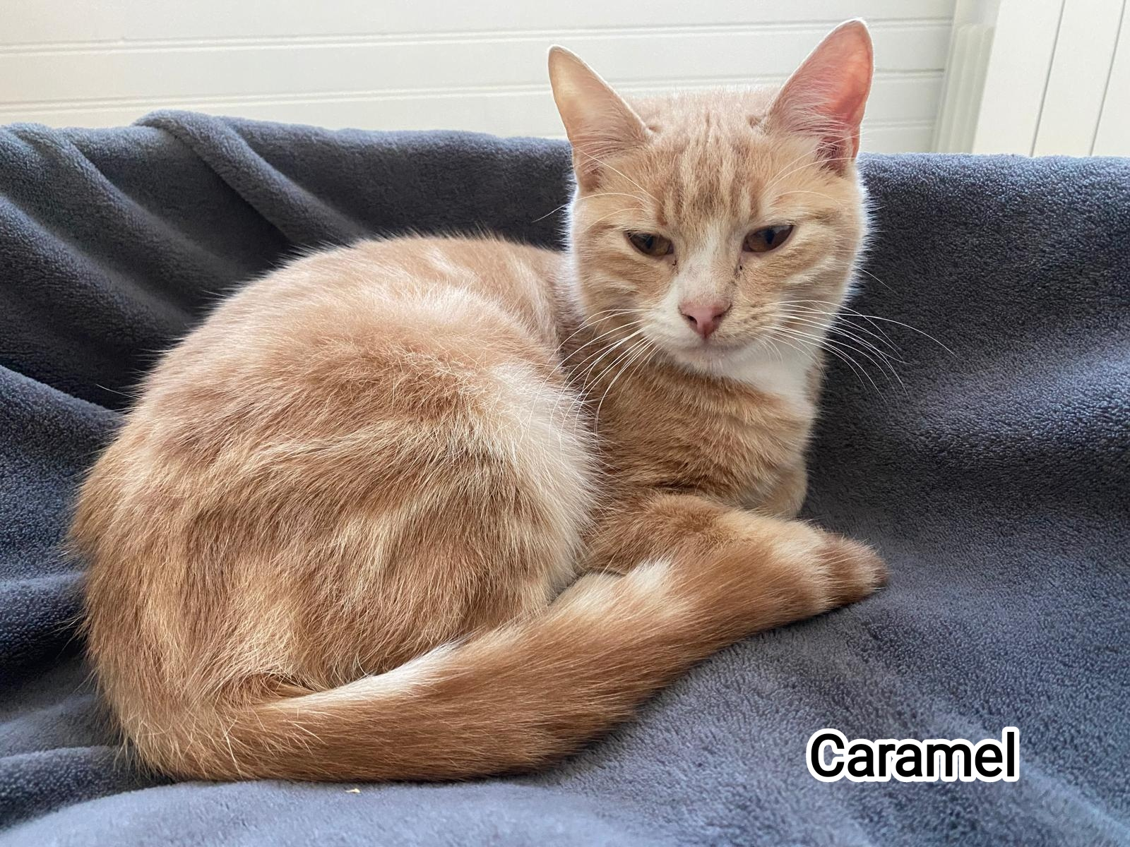 CARAMEL