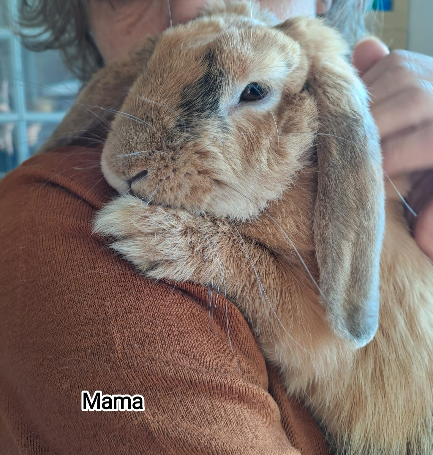 MAMA