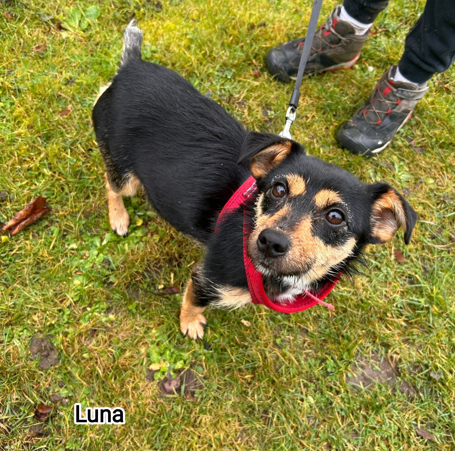 LUNA