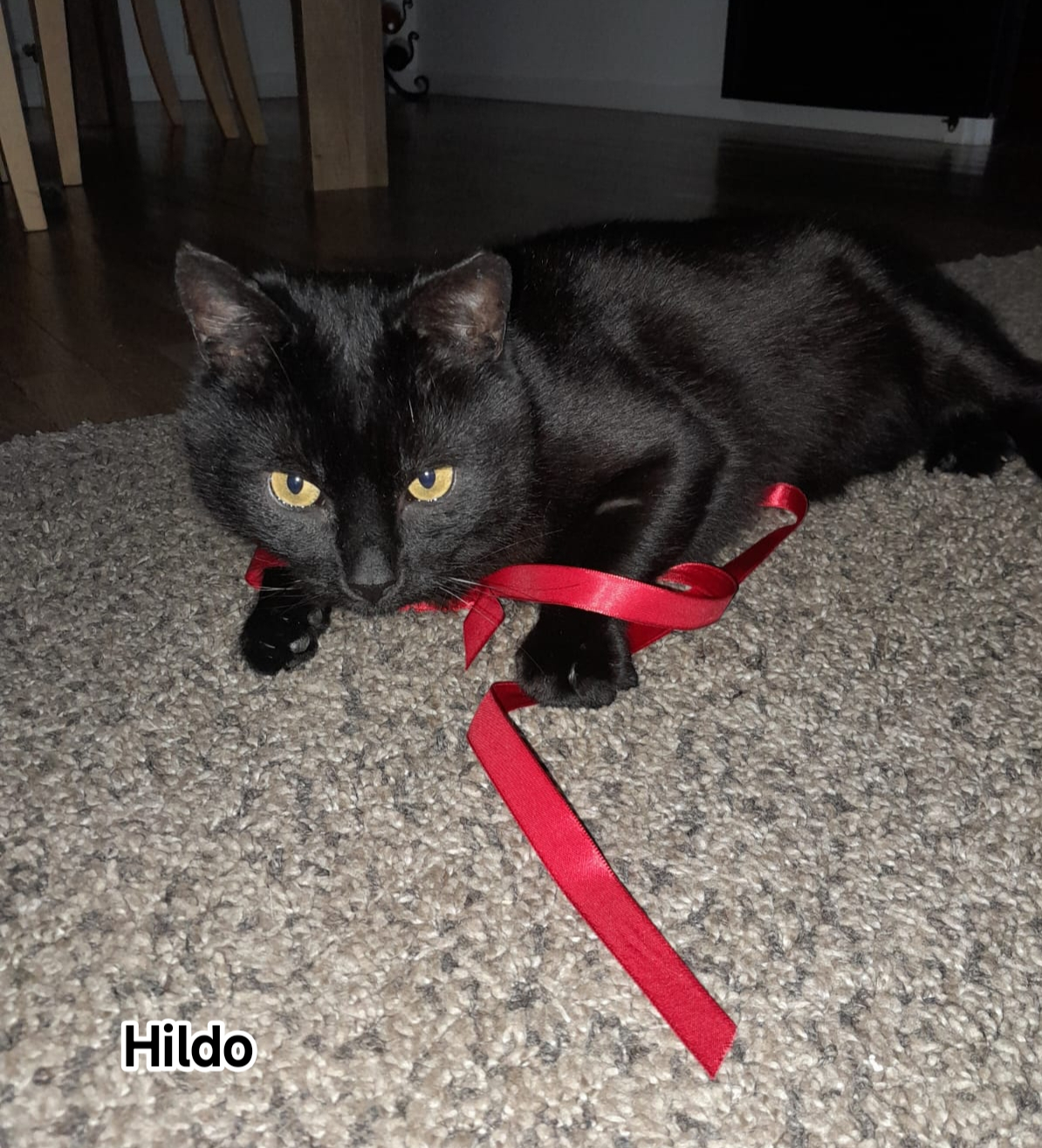 HILDO