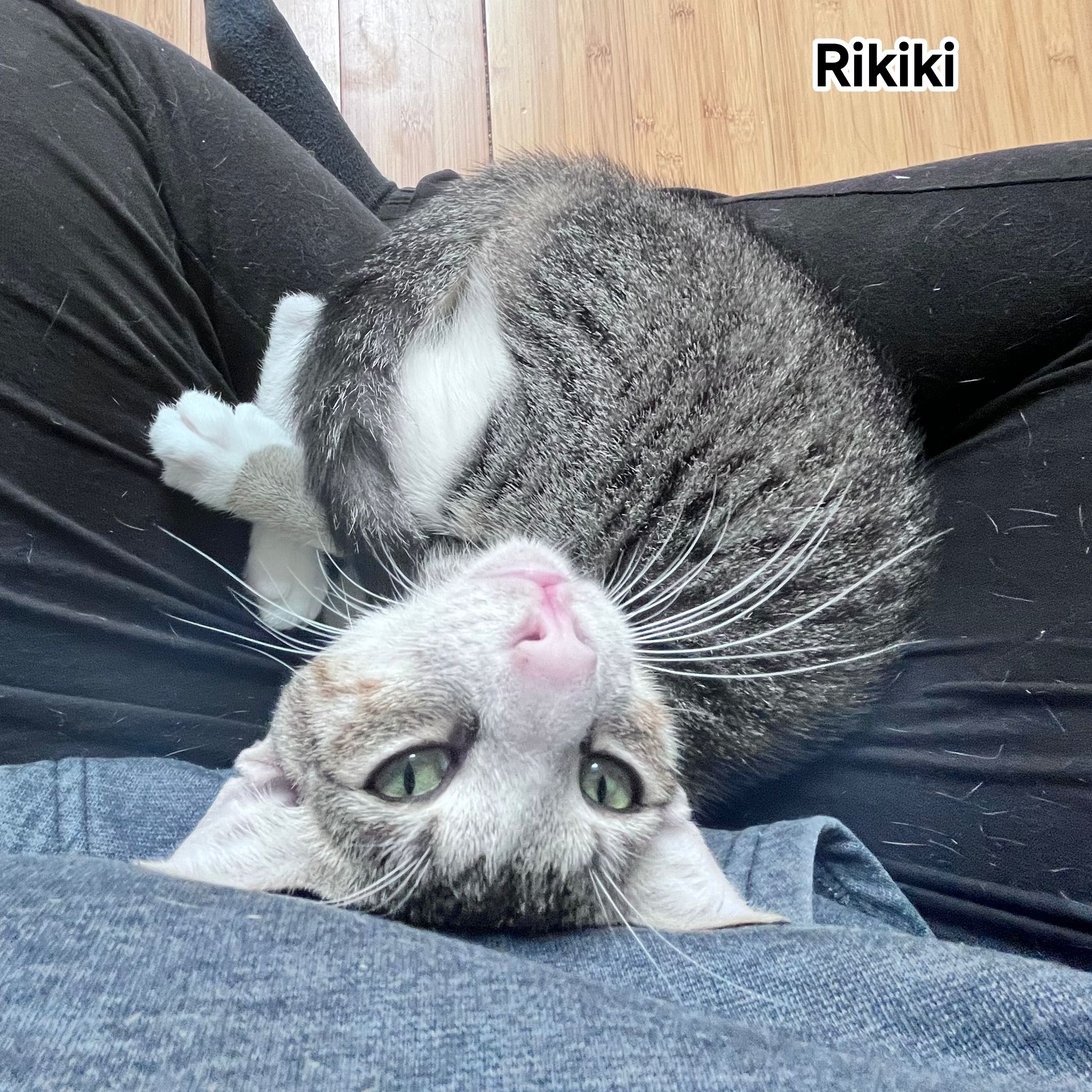 RIKIKI