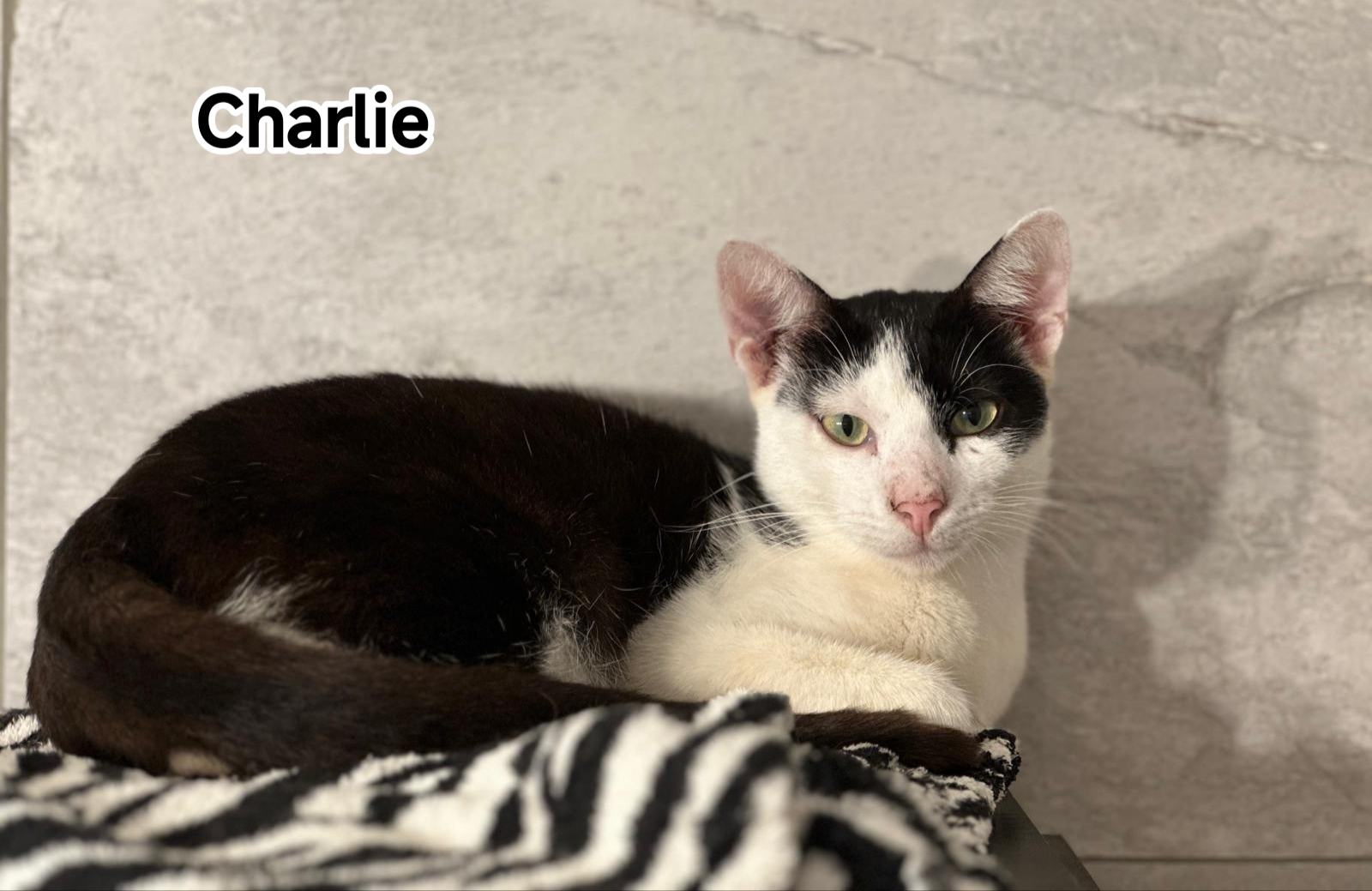 CHARLIE
