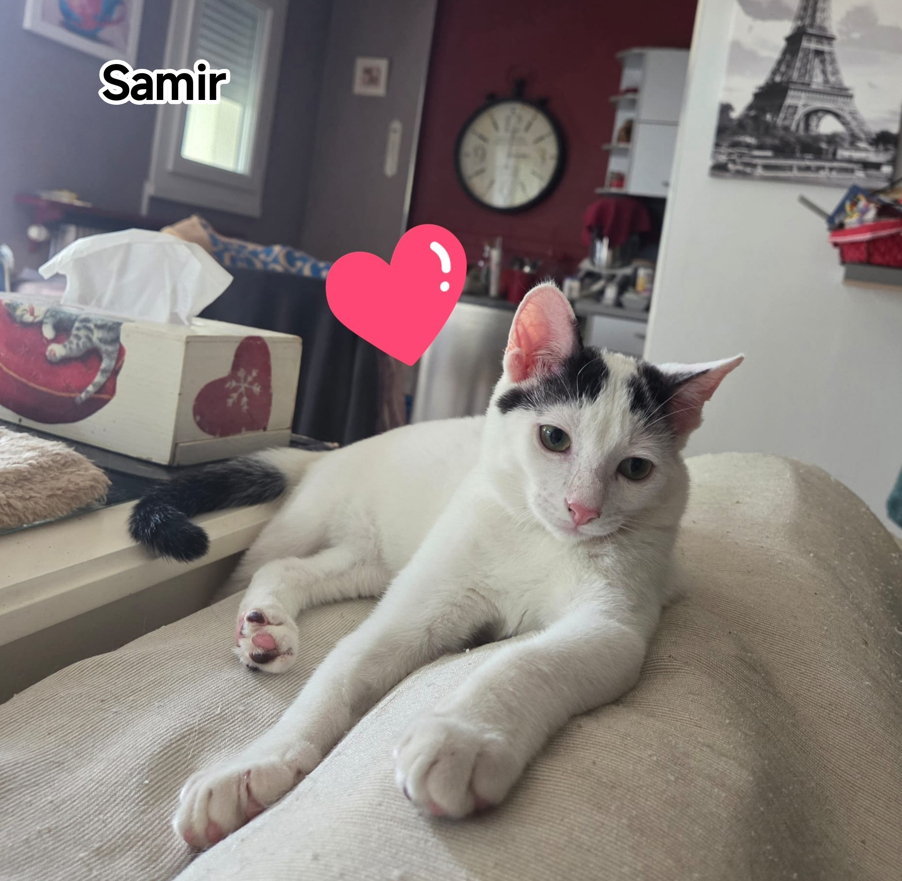 SAMIR