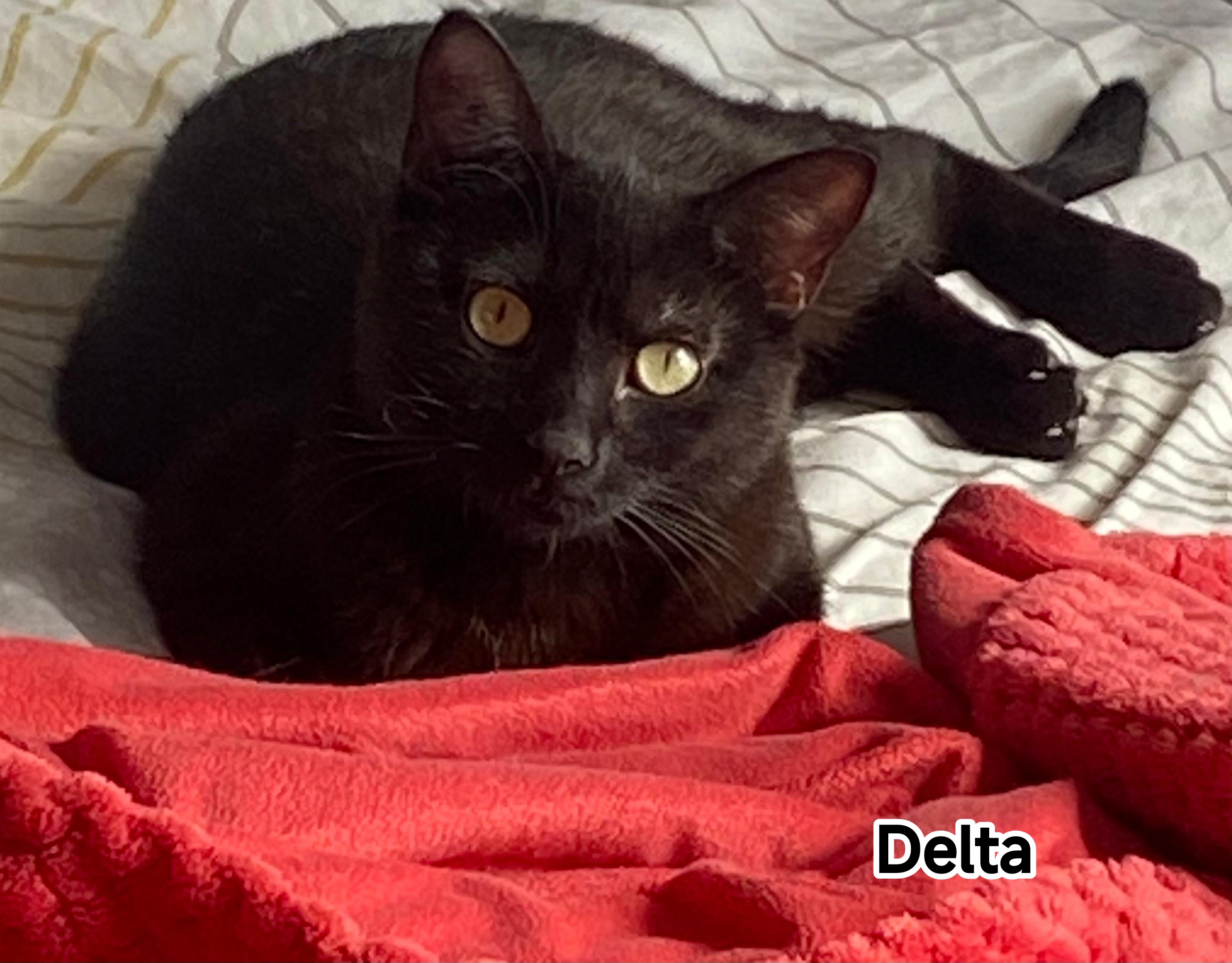 DELTA