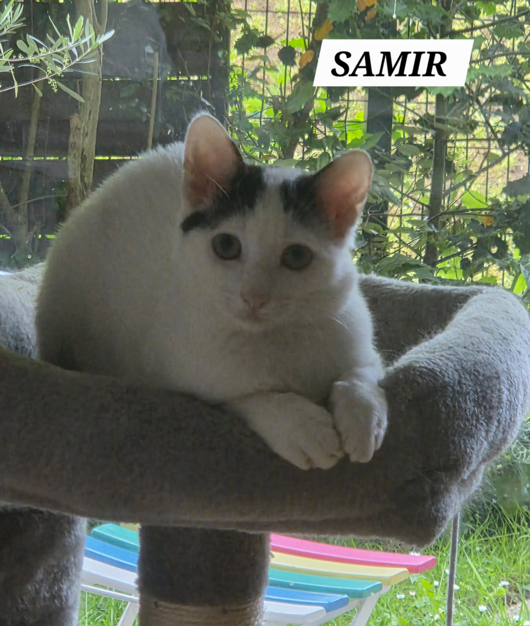 SAMIR