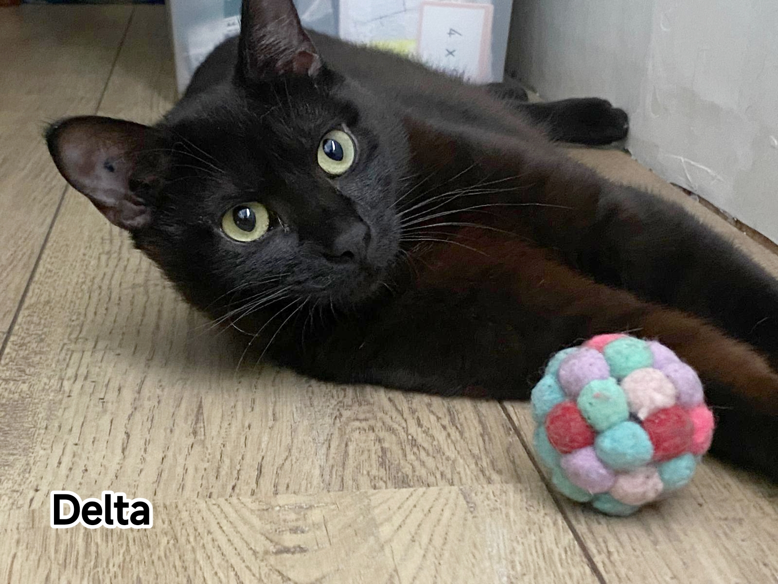 DELTA