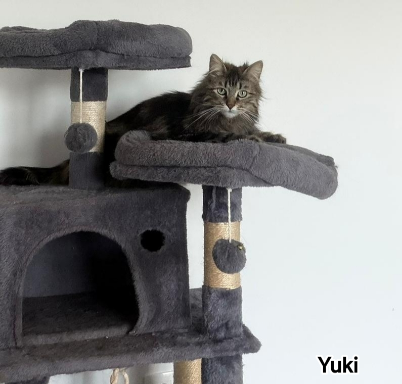 YUKI