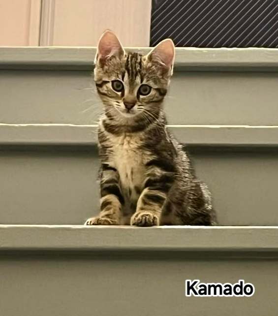KAMADO