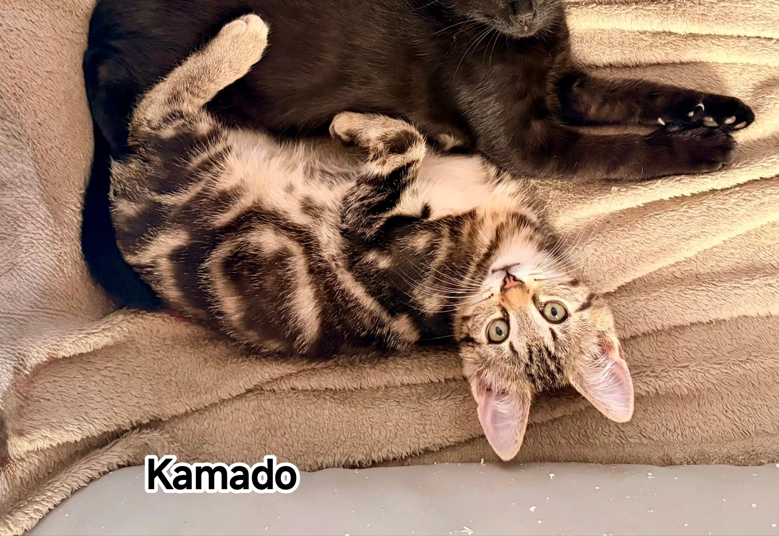 KAMADO