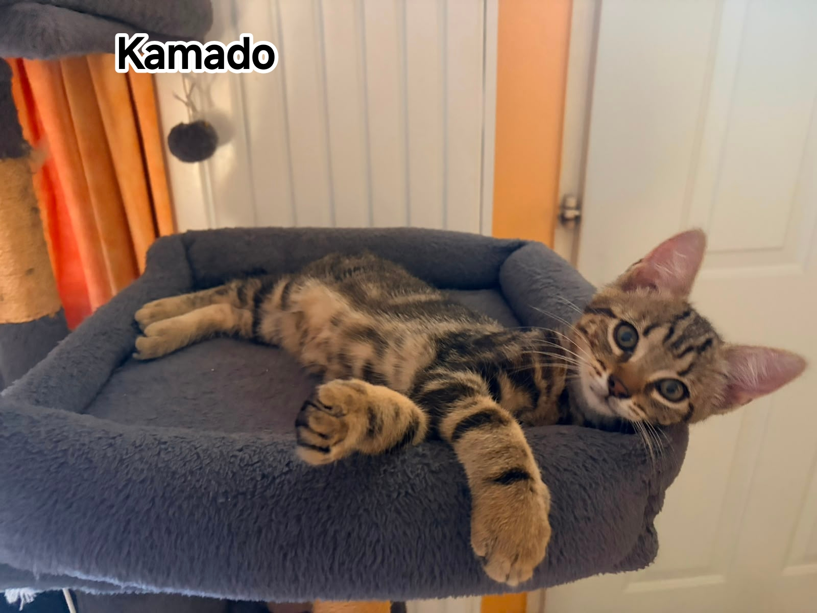 KAMADO