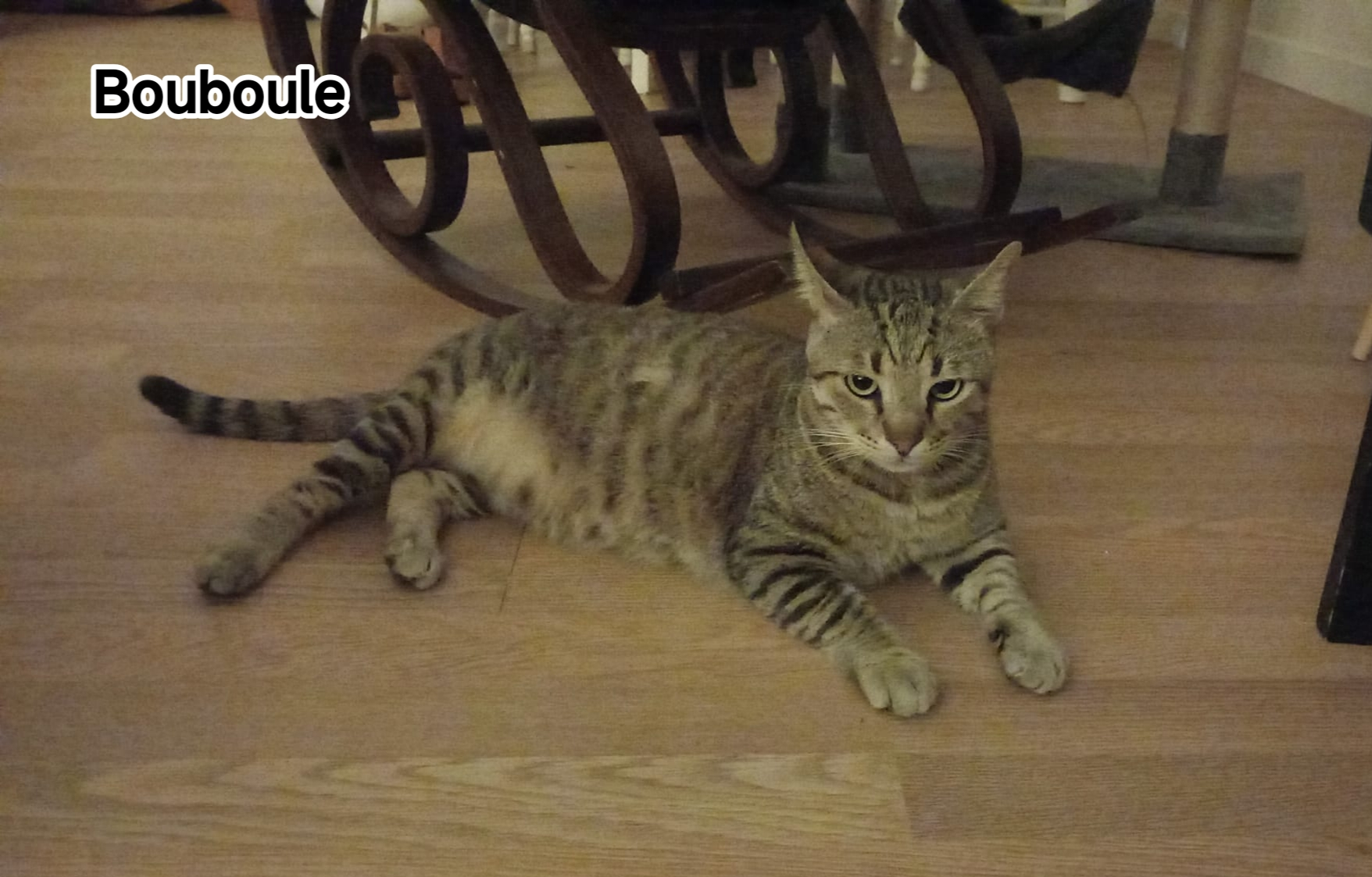 BOUBOULE