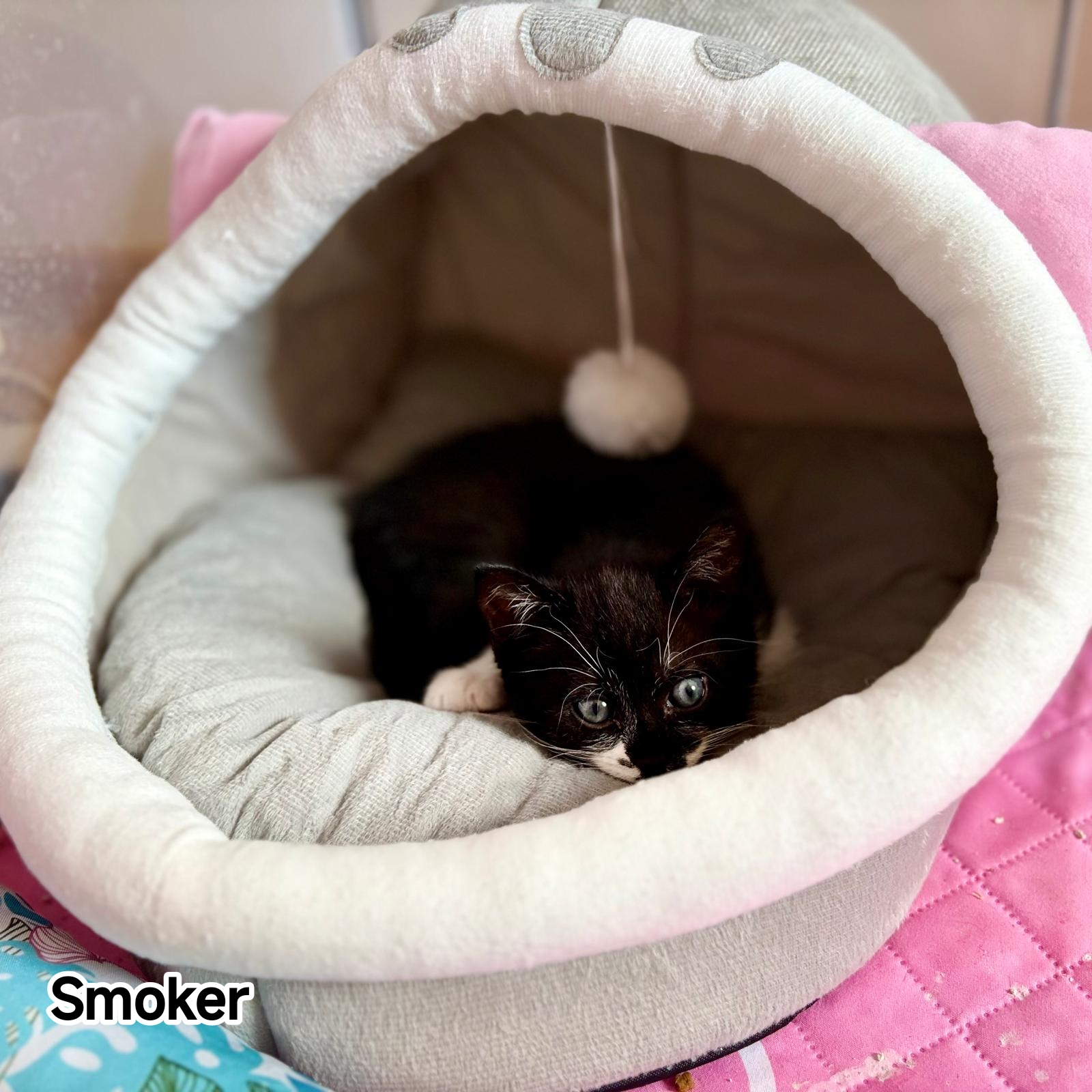 SMOKER