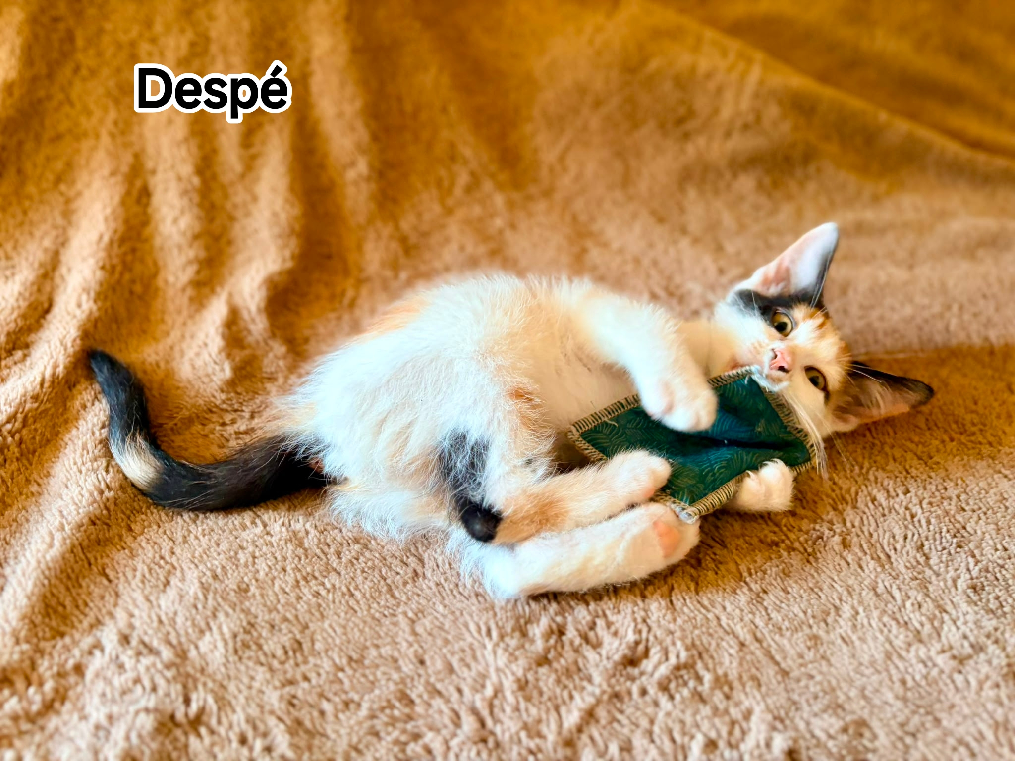DESPE
