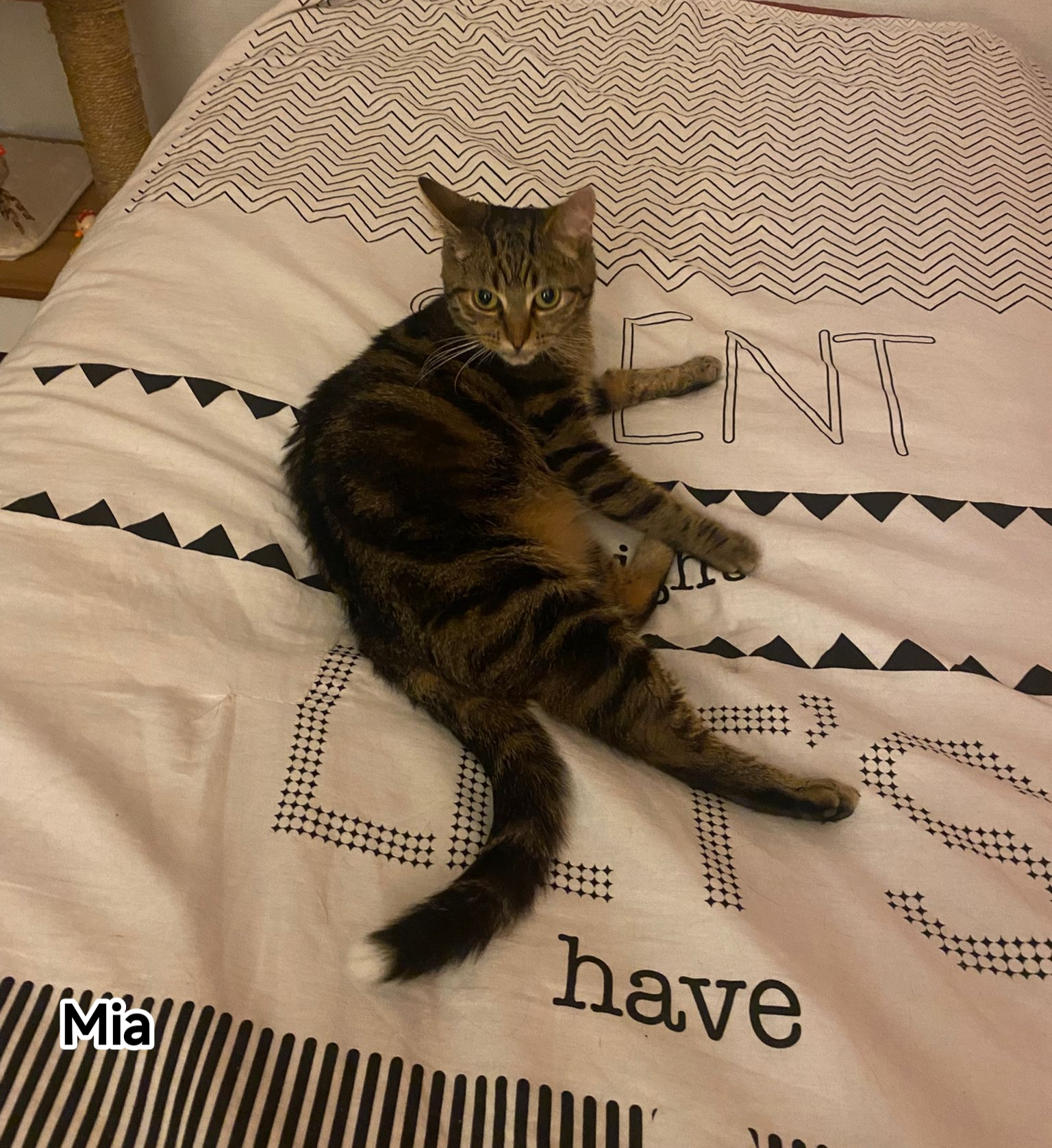 MIA