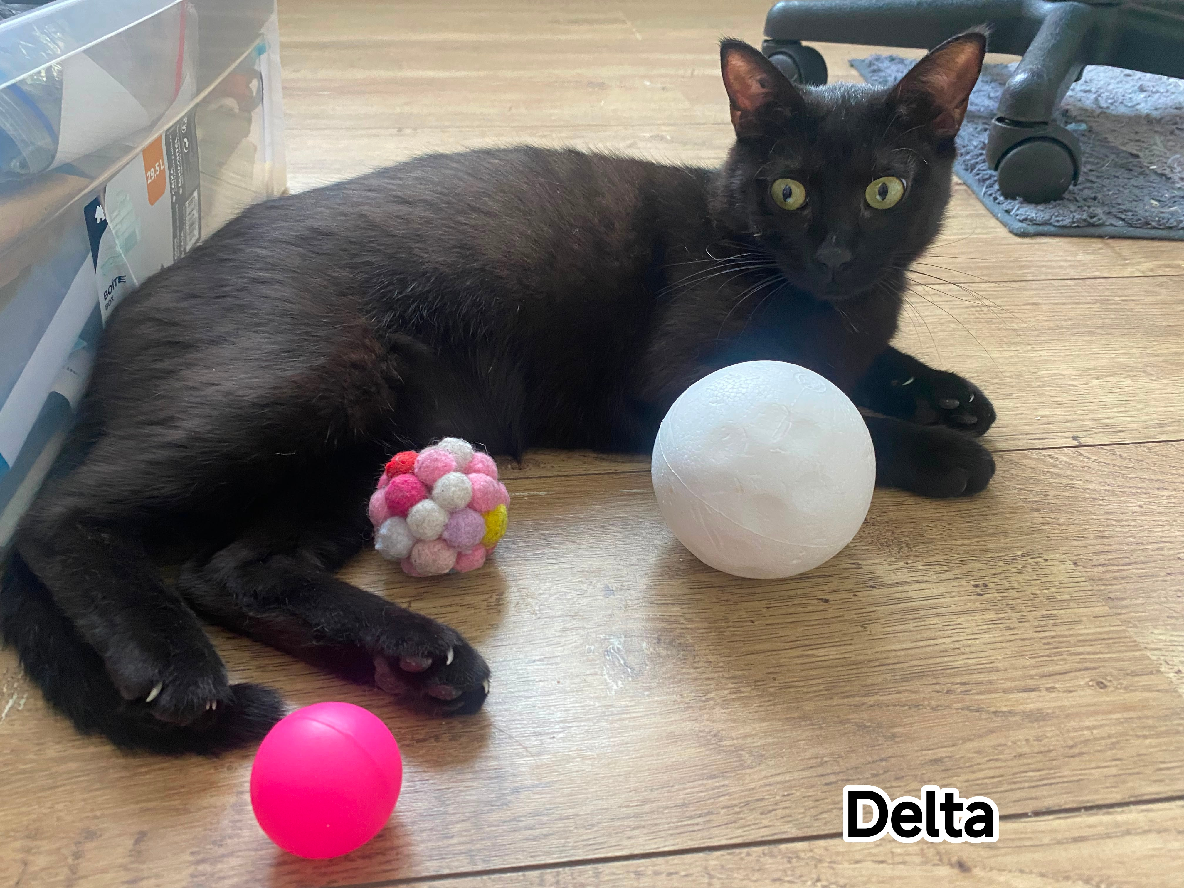 DELTA