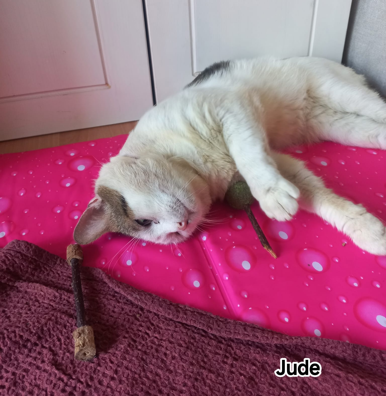 JUDE