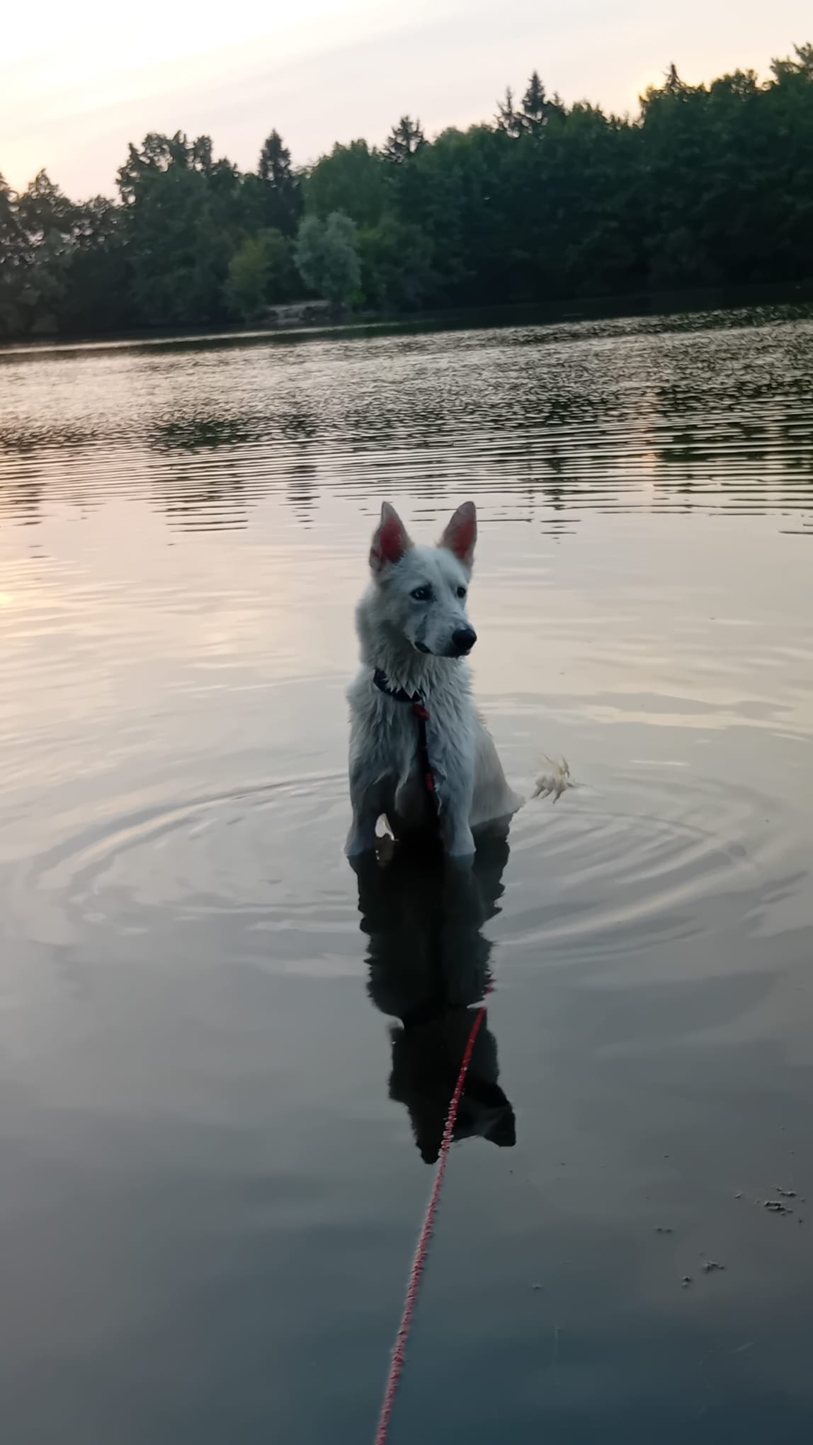 Chester