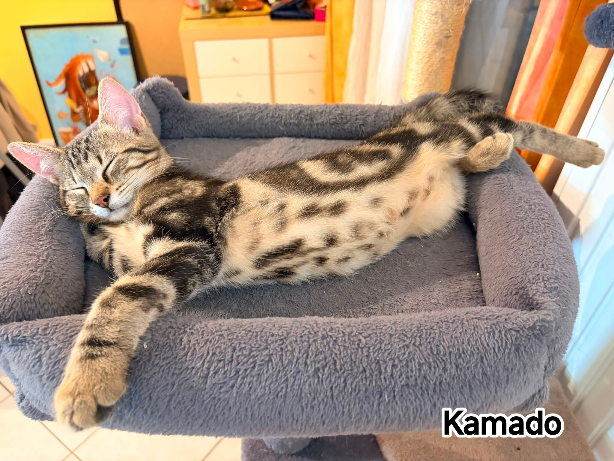 KAMADO