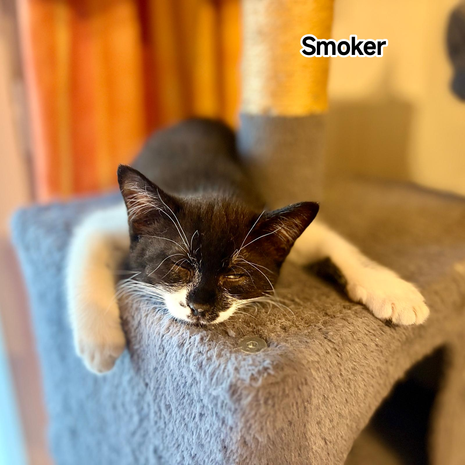 SMOKER