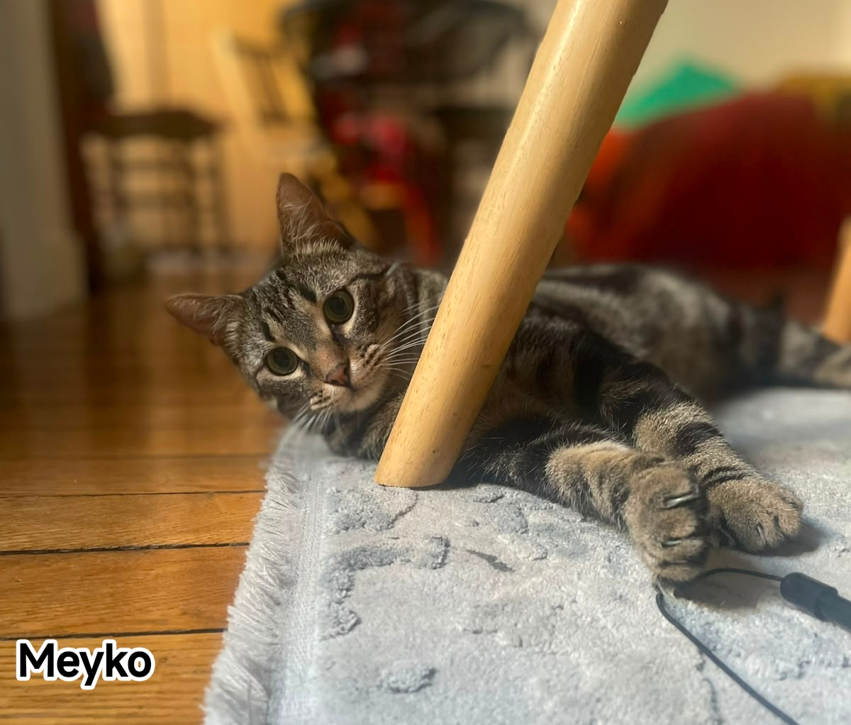 MEYKO