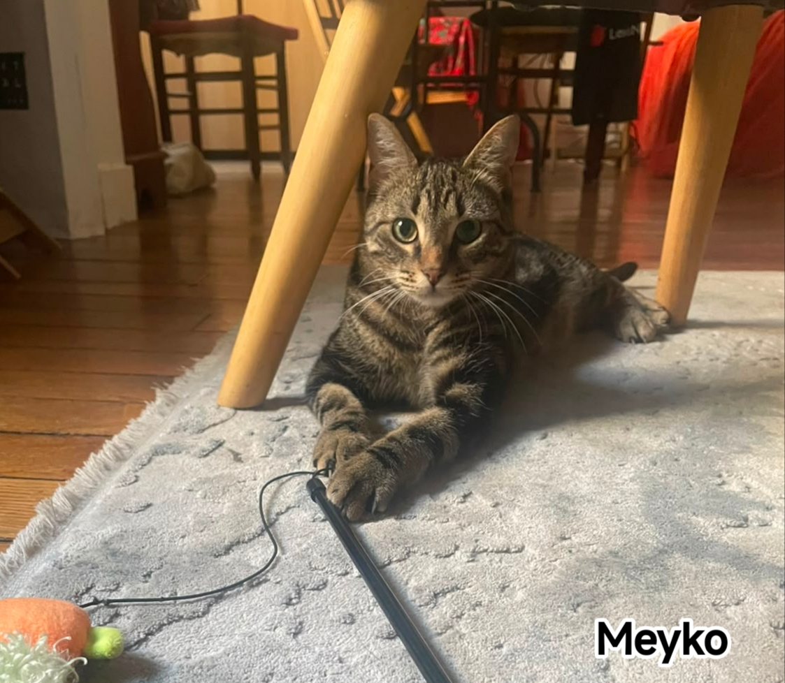 MEYKO